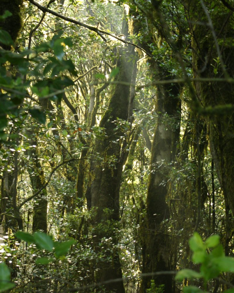 Biodiversidad y Ecosistemas