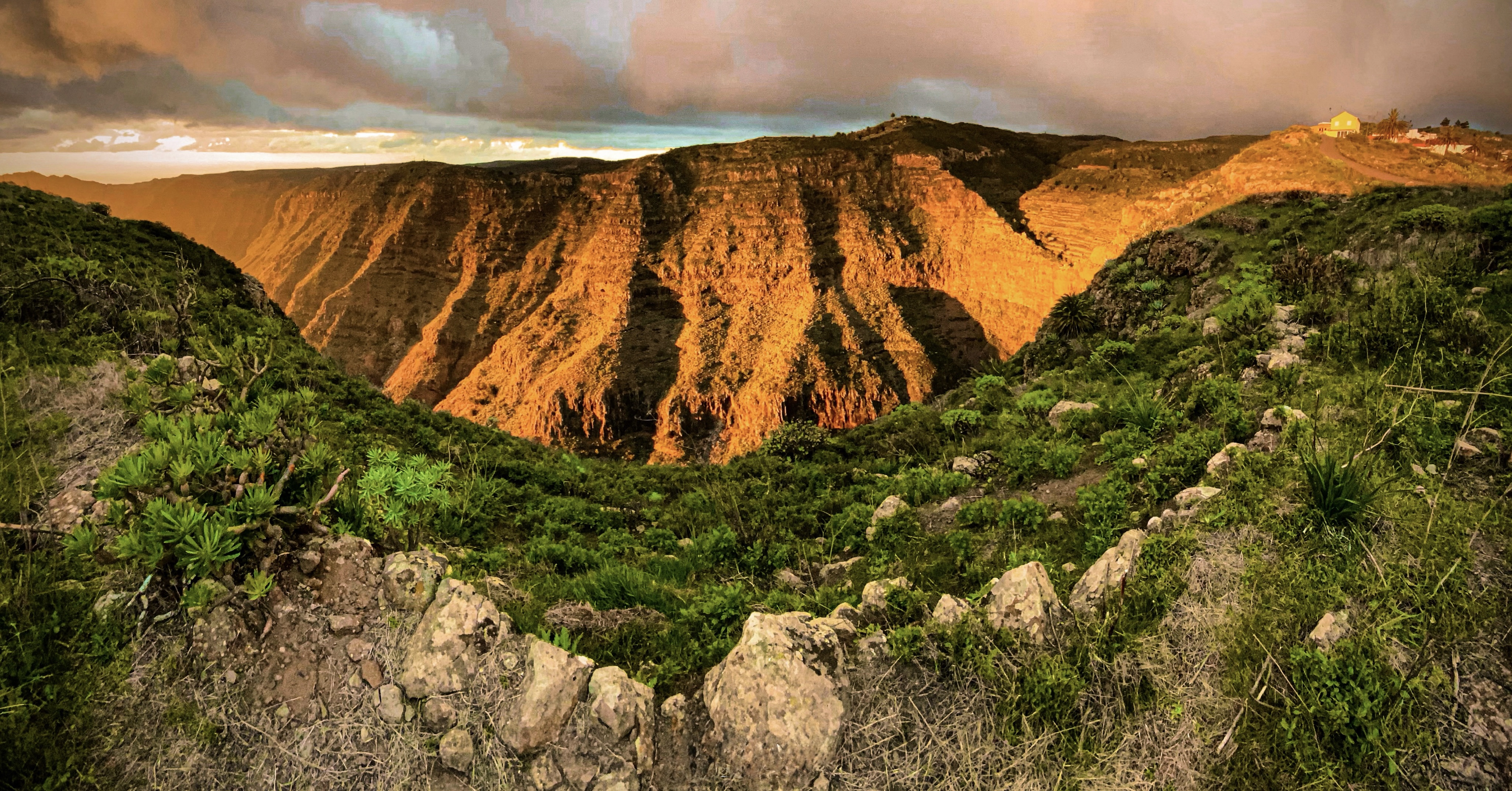 Flora endémica de Vallehermoso
