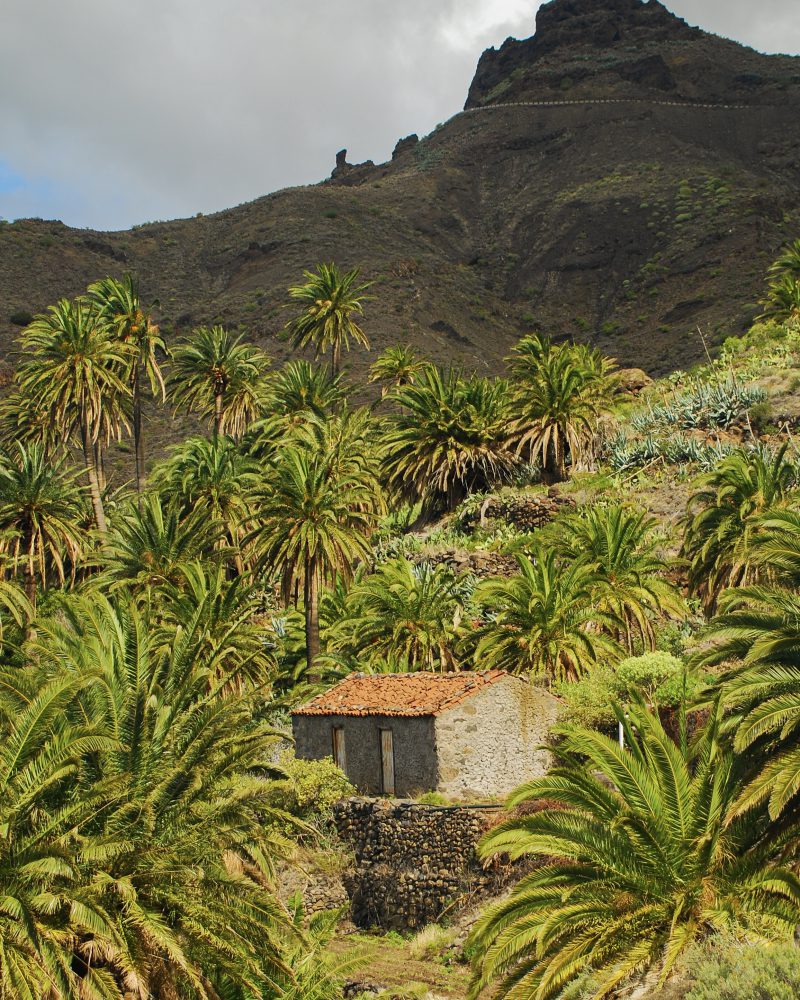 Rutas en La Gomera