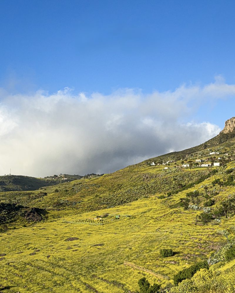 Paisaje de espacios naturales protegidos de Vallehermoso