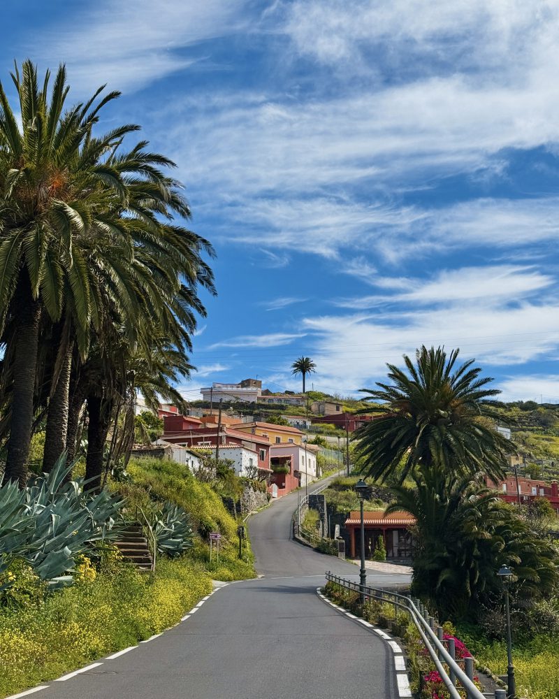 Actividades en Vallehermoso