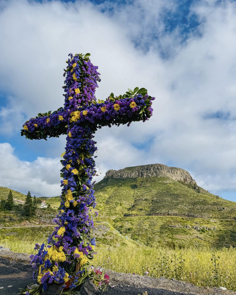 Actividades en Vallehermoso