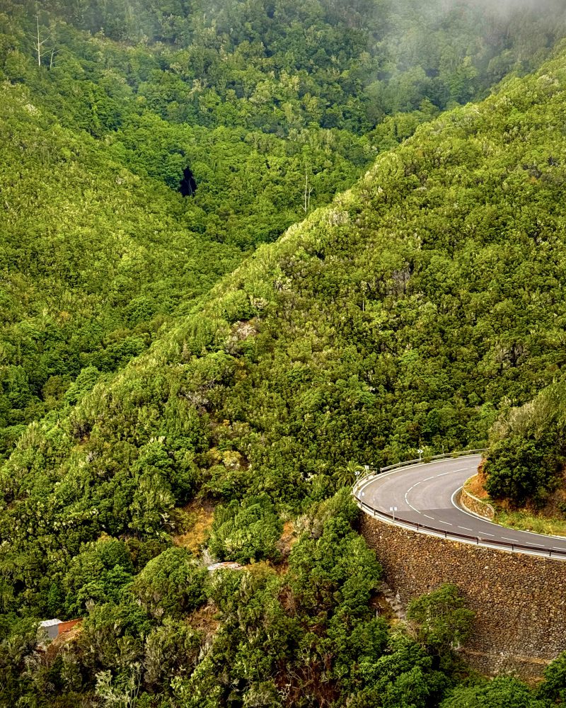Naturaleza protegida de La Gomera