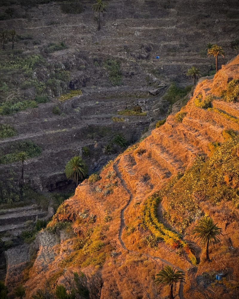 Vista panorámica de espacios protegidos