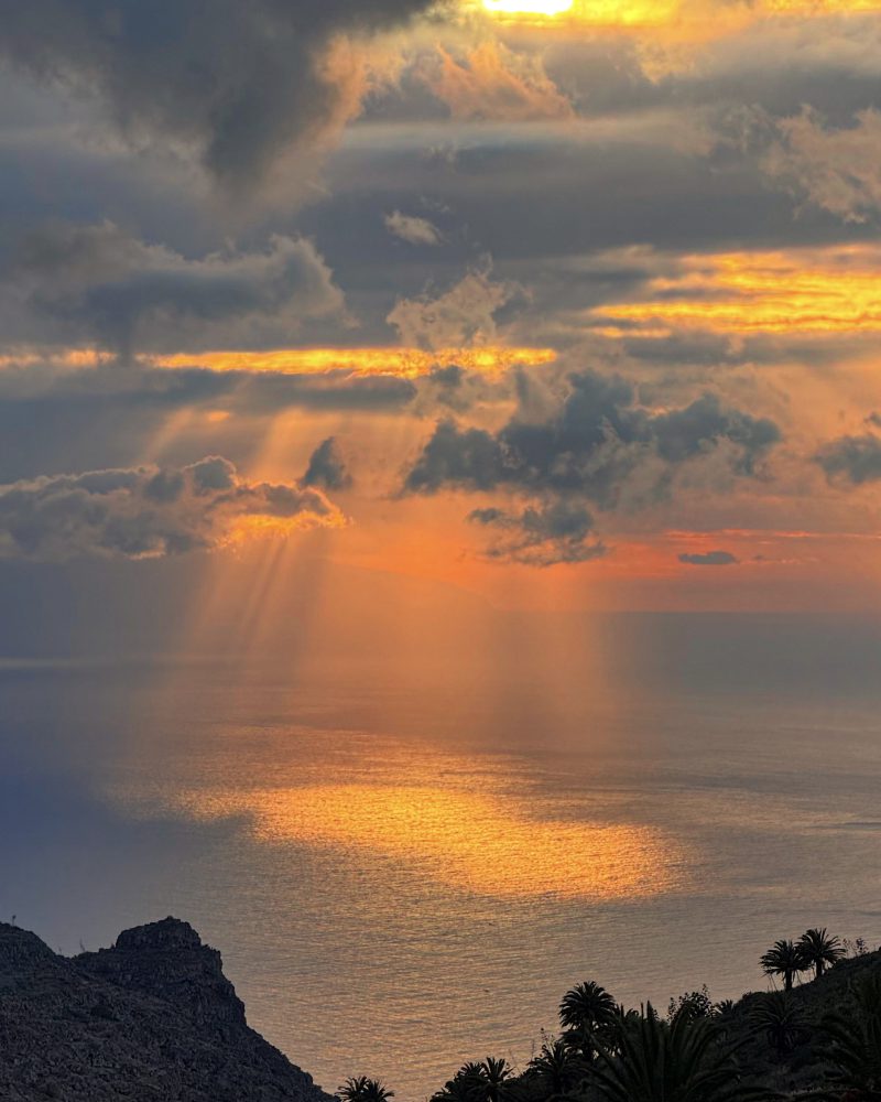 Vegetación diversa de La Gomera