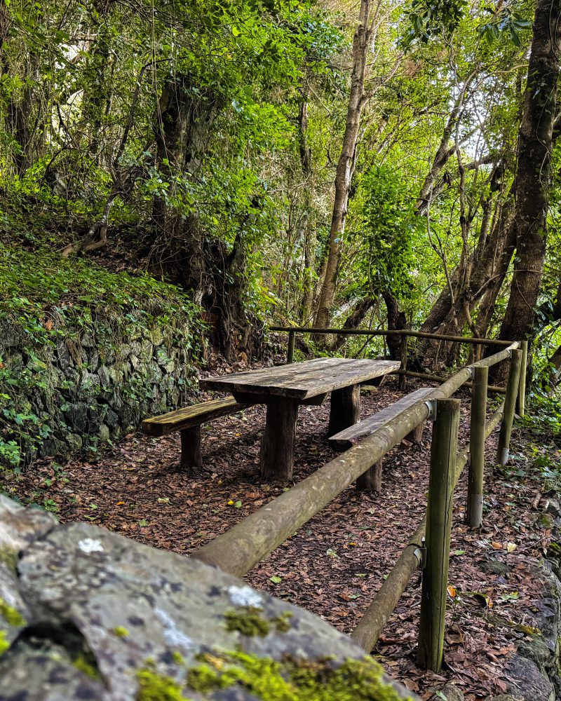 Equipamientos turísticos Vallehermoso