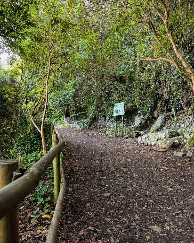 Equipamientos turísticos Vallehermoso