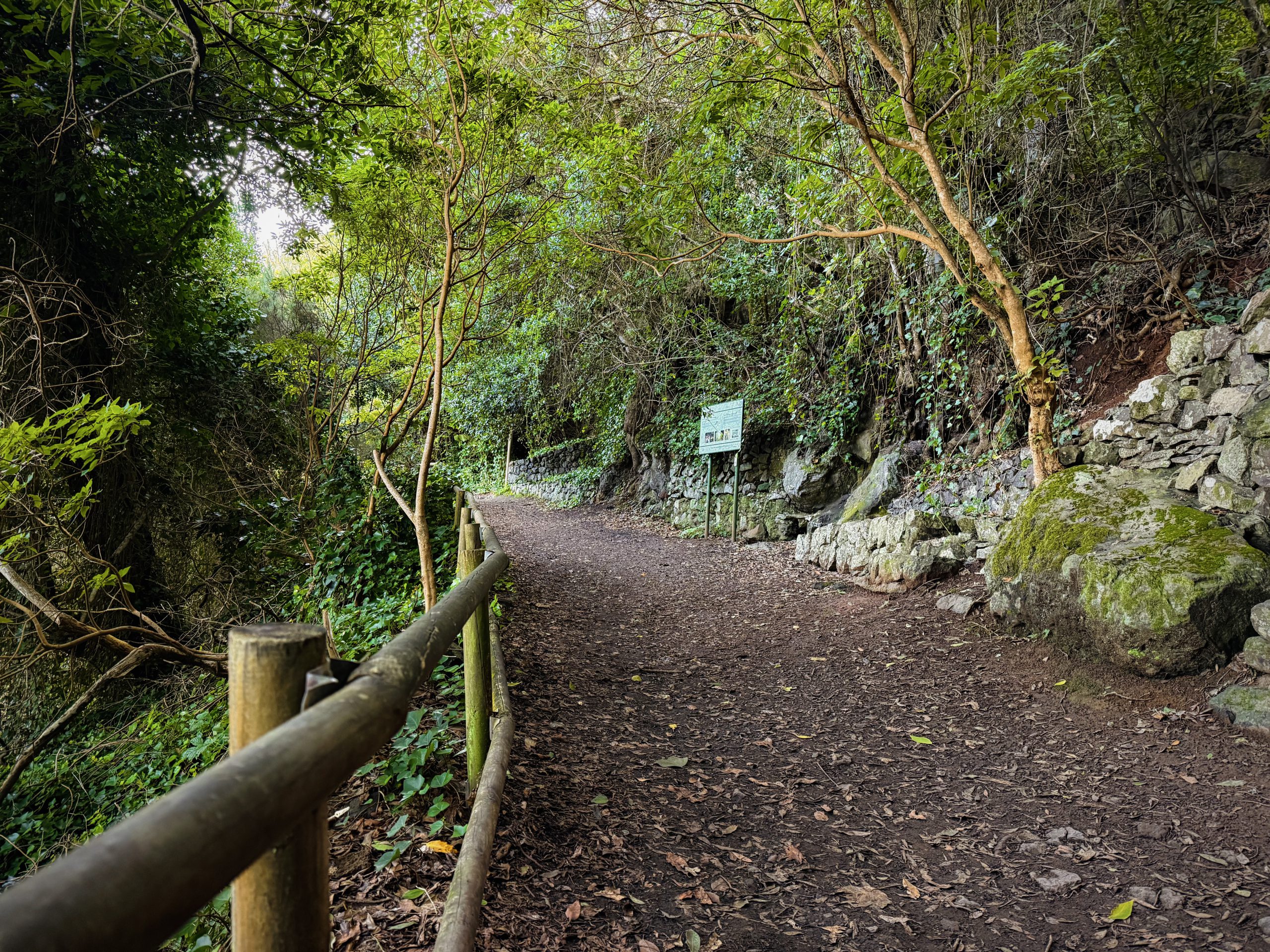 Equipamientos turísticos Vallehermoso