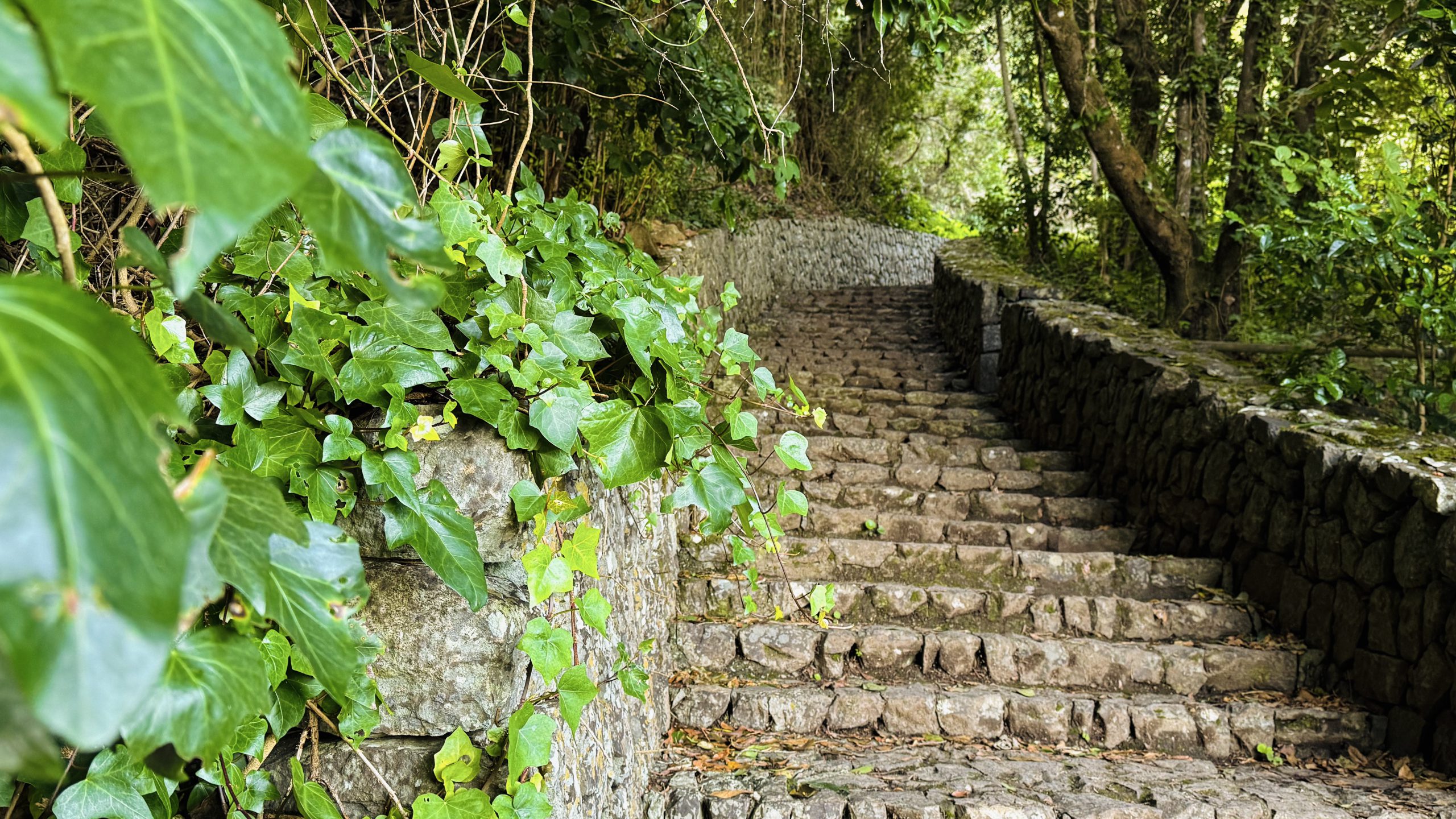 Equipamientos turísticos Vallehermoso