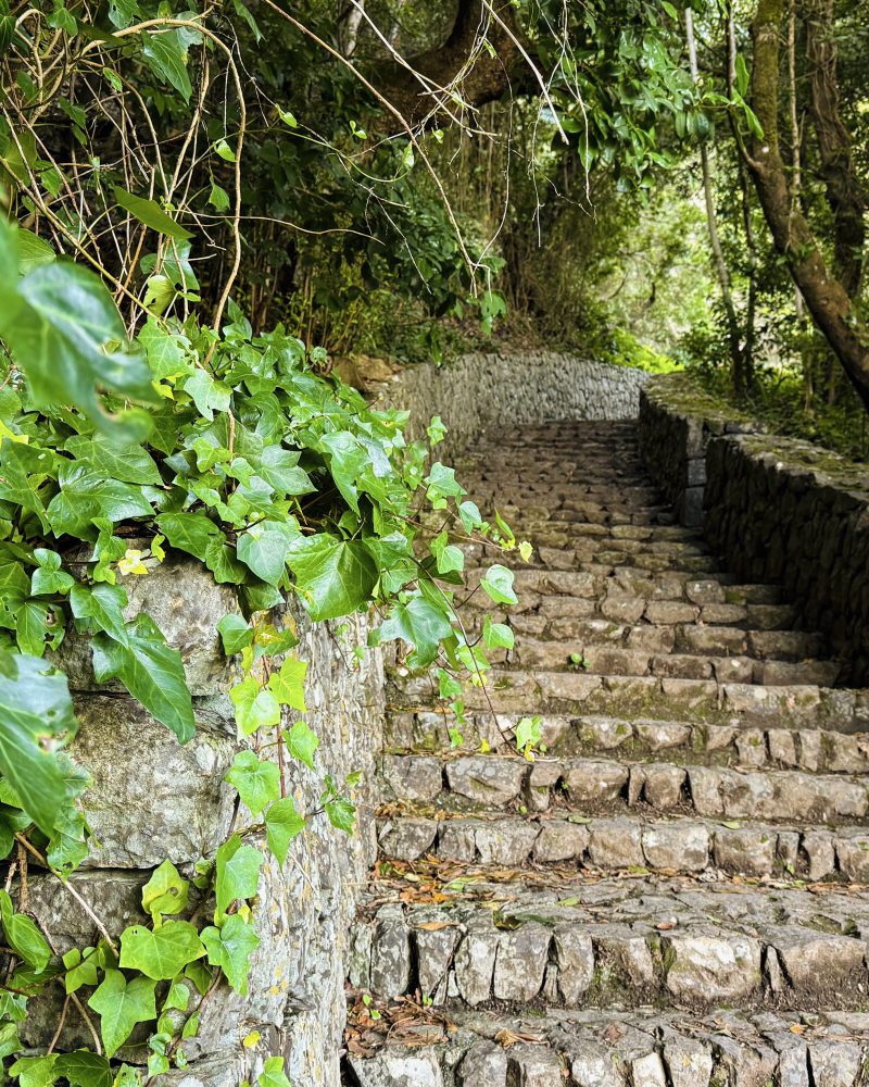 Equipamientos turísticos Vallehermoso