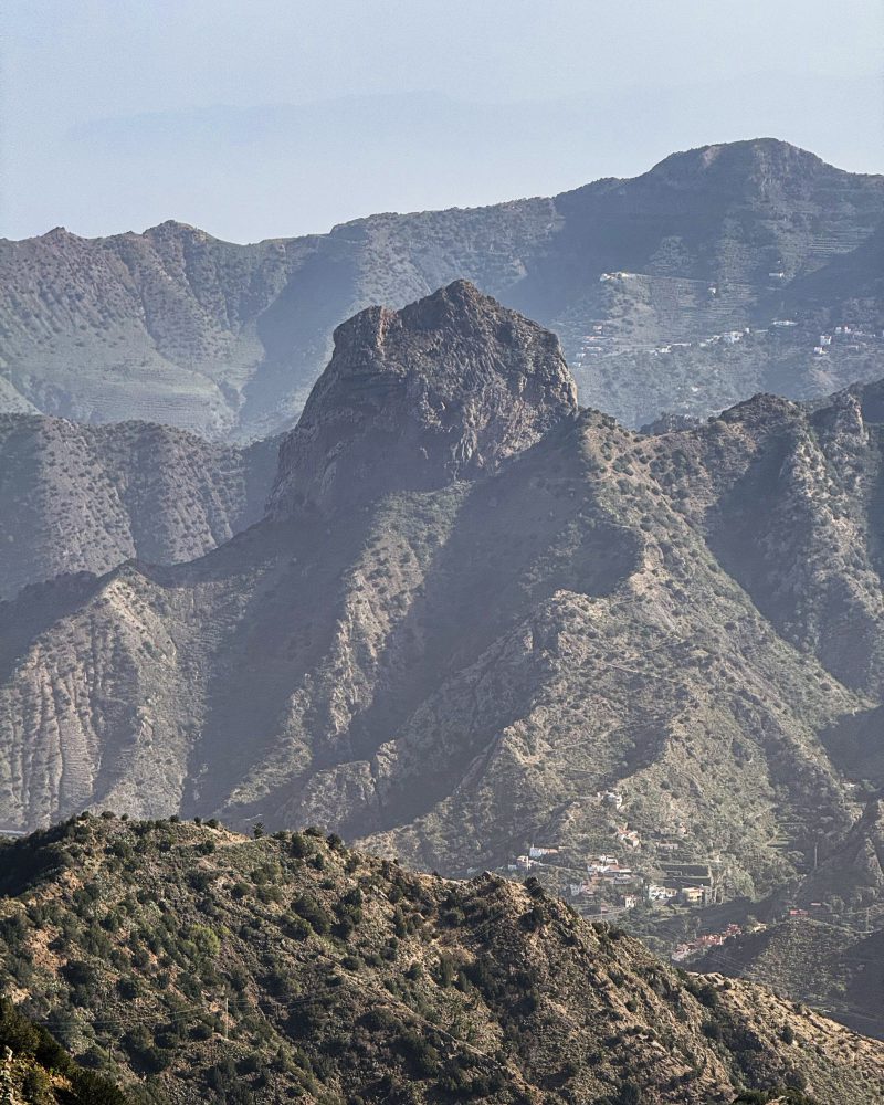 Bosque de laurisilva