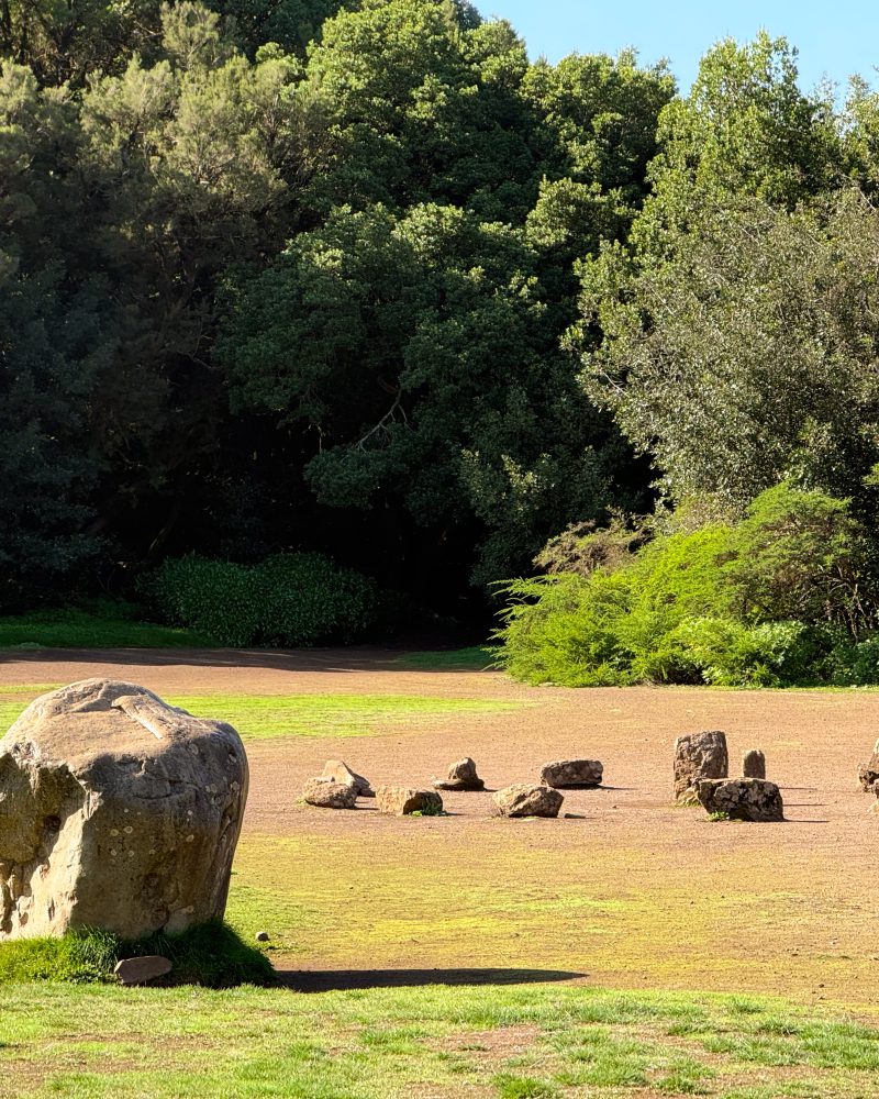 Sendero entre la niebla en Garajonay