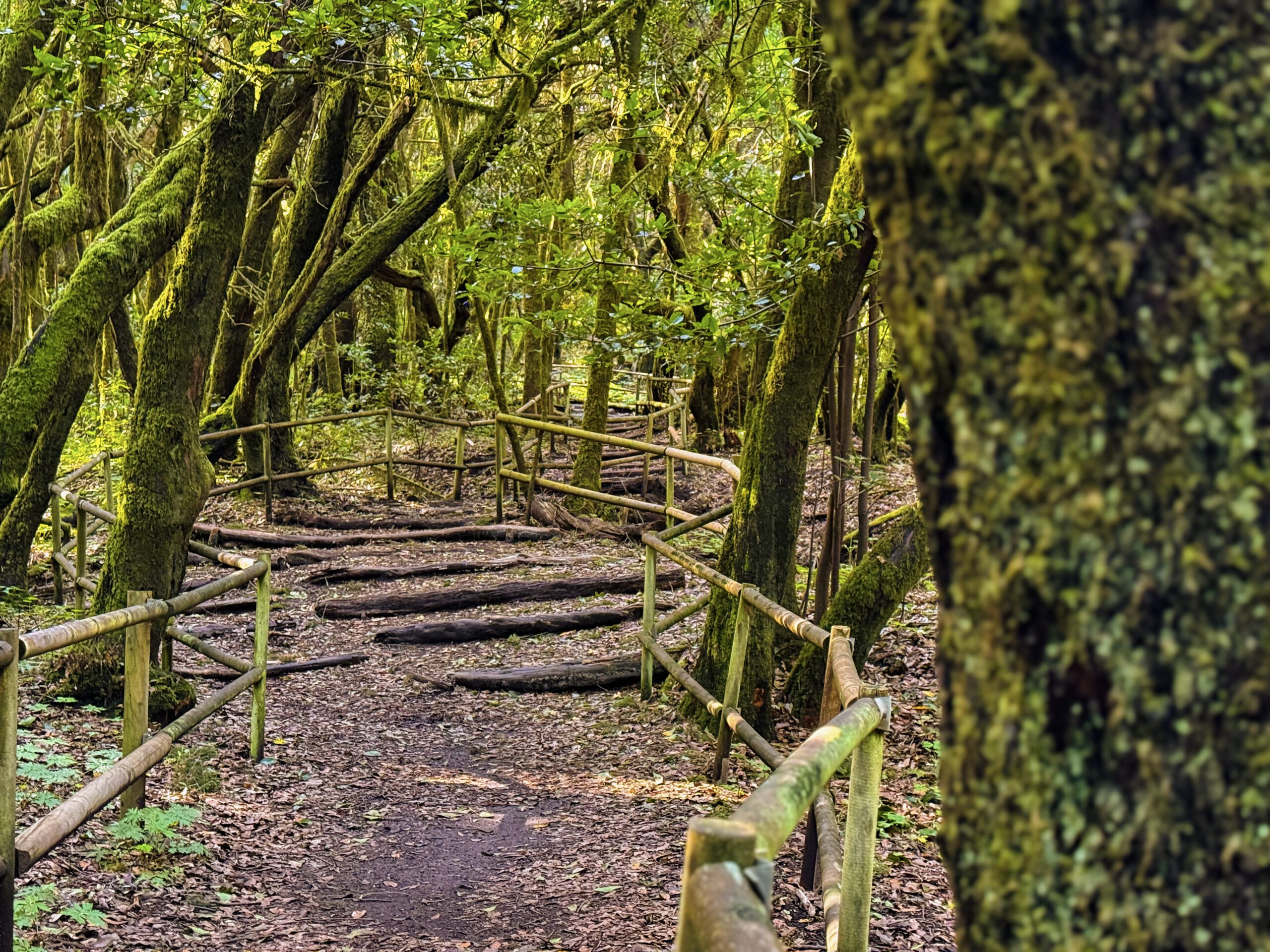 Paisaje de Vallehermoso