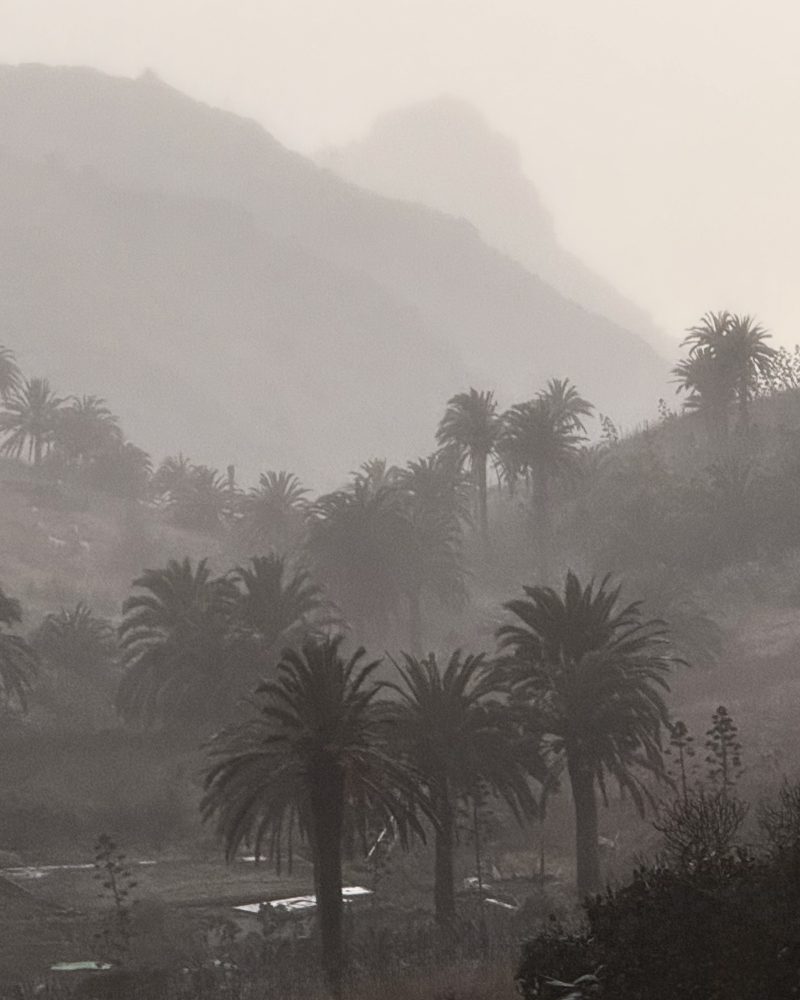 Naturaleza de Vallehermoso