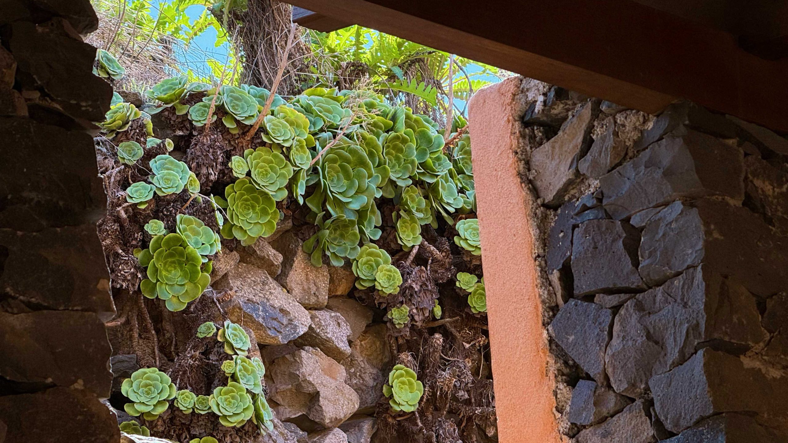 Alojamiento en Vallehermoso