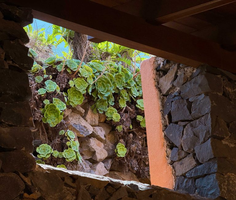 Alojamiento en Vallehermoso