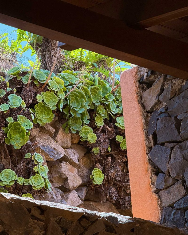 Alojamiento en Vallehermoso