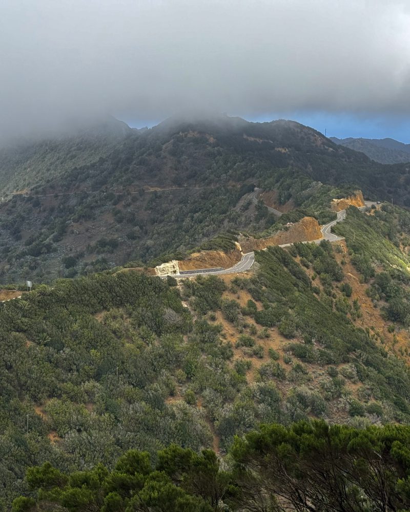 Vegetación autóctona de La Gomera