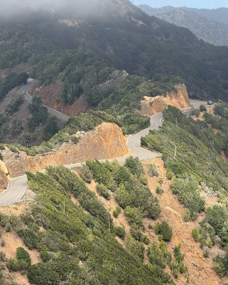 Flora de los espacios protegidos