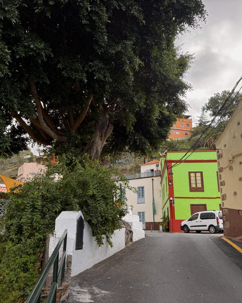 Actividades en Vallehermoso