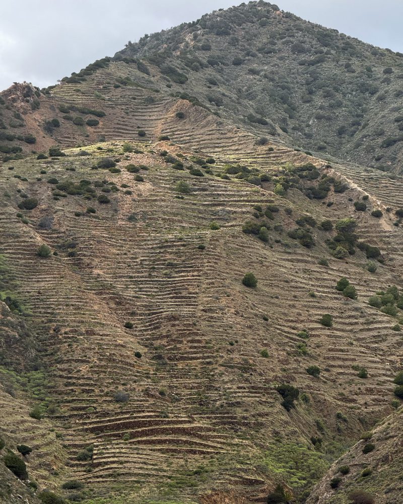 Actividades en Vallehermoso