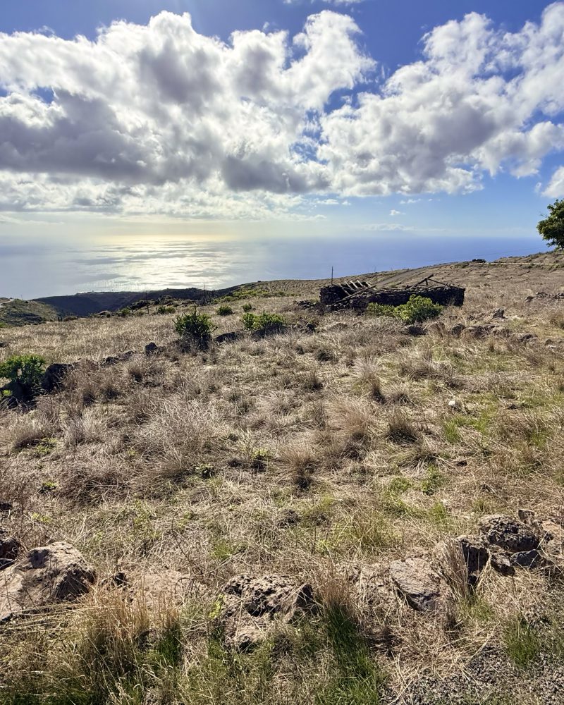Vista panorámica desde sendero