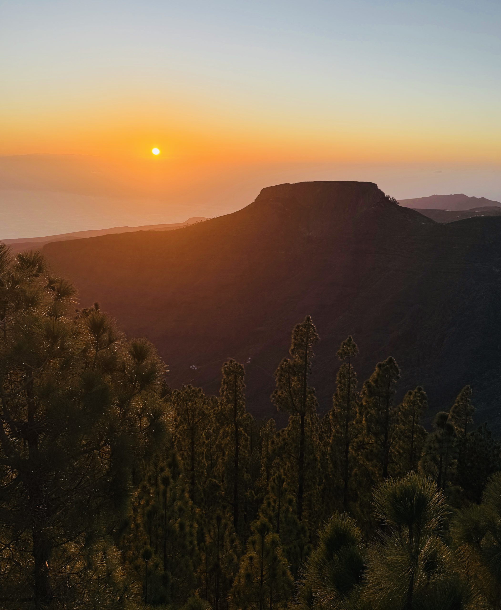 Plantas endémicas de La Gomera